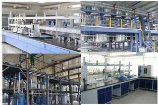 高效管理，助力成長(zhǎng)——?dú)g迎探索企業(yè)管理咨詢的專業(yè)價(jià)值