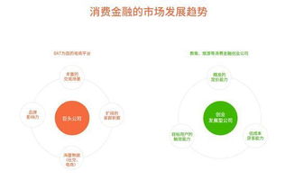 2016年中國(guó)互聯(lián)網(wǎng)消費(fèi)金融營(yíng)銷發(fā)展 互聯(lián)網(wǎng)銷售渠道的革新與挑戰(zhàn)
